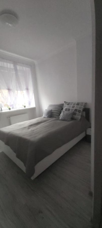 Apartament U Eli Stronie Śląskie 外观 照片